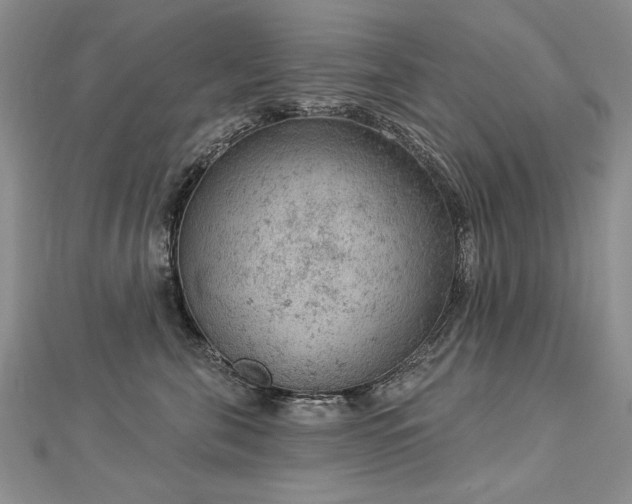 X0000112780571200908201531