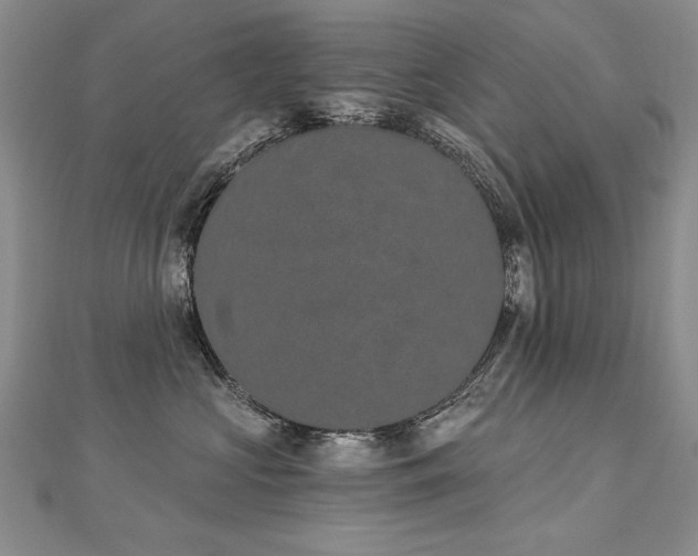 X0000112780573200908201531