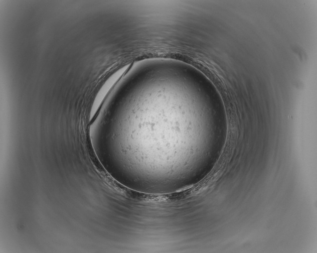 X0000112780576200908201531