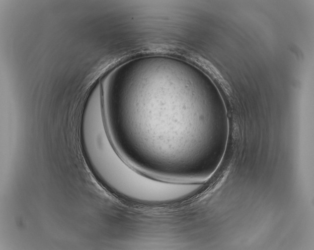 X0000112780577200908201531