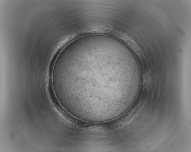 X0000112780578200908201531