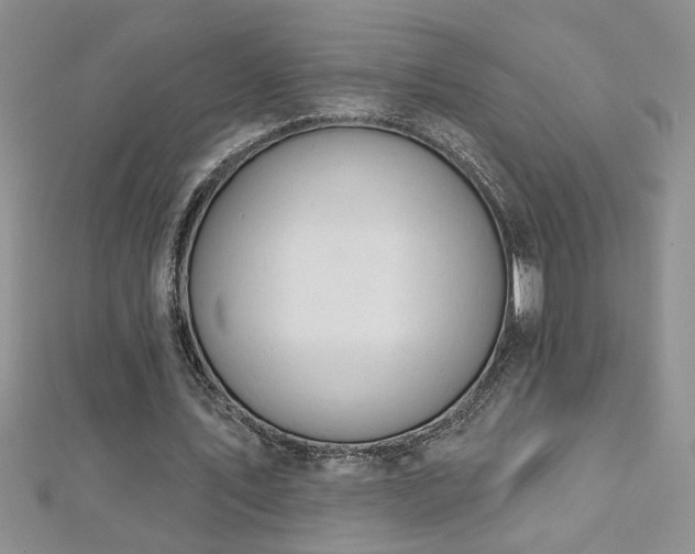 X0000112780579200908201531