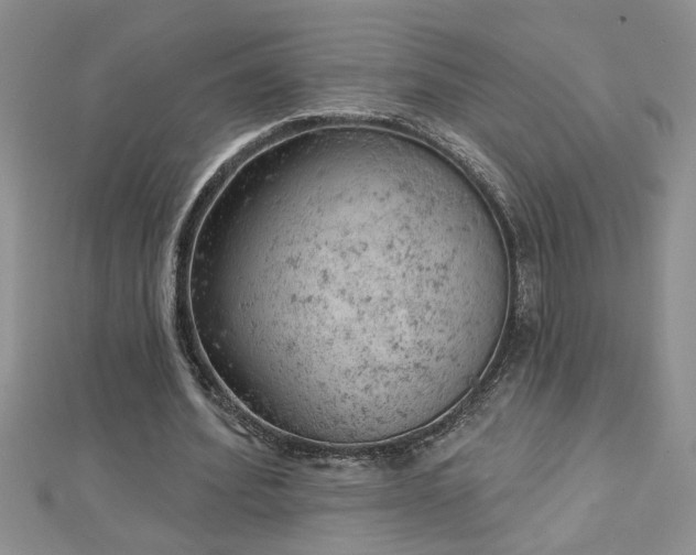 X0000112780580200908201531