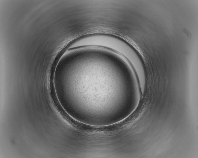 X0000112780581200908201531