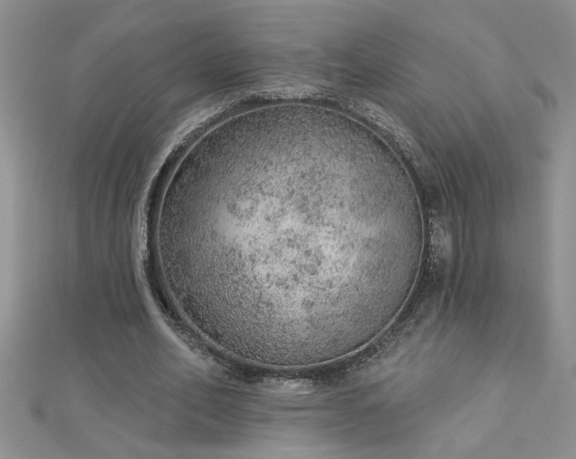 X0000112780582200908201531