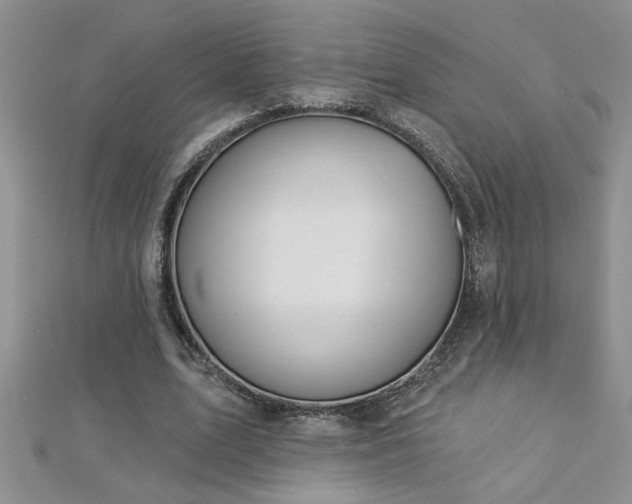 X0000112780583200908201531