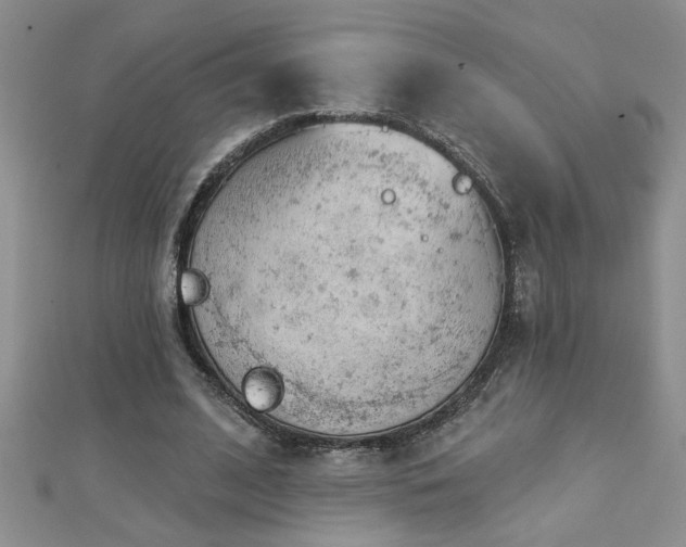 X0000112780584200908201531