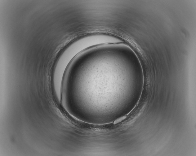 X0000112780585200908201531