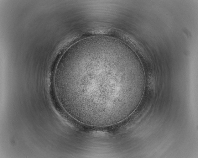 X0000112780586200908201531