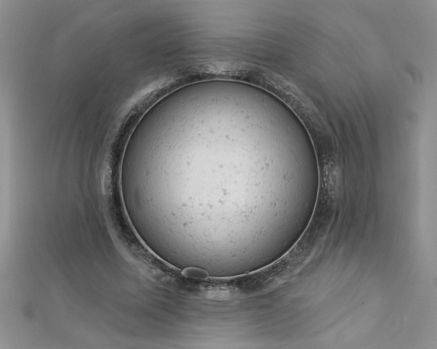 X0000112780587200908201530