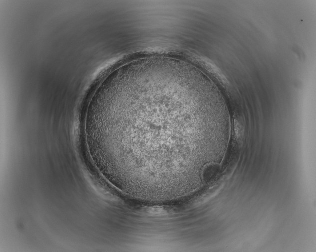 X0000112780588200908201530