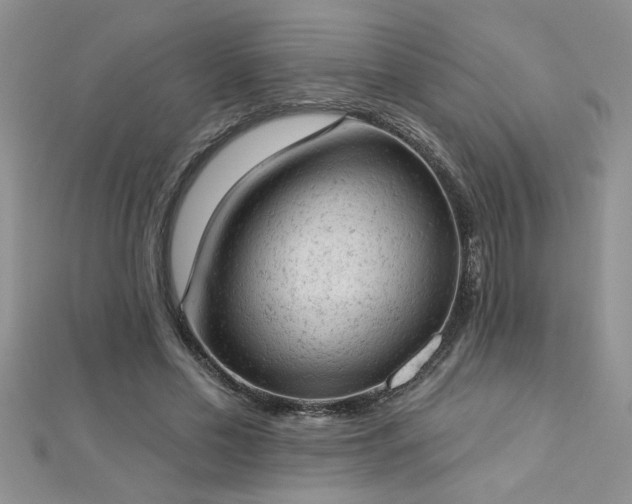 X0000112780589200908201530