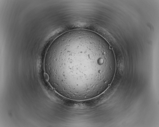 X0000112780591200908201530