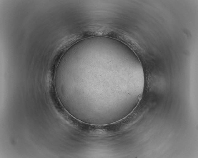 X0000112780594200908201530