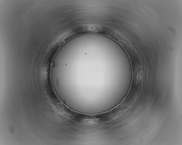 X0000112780595200908201530