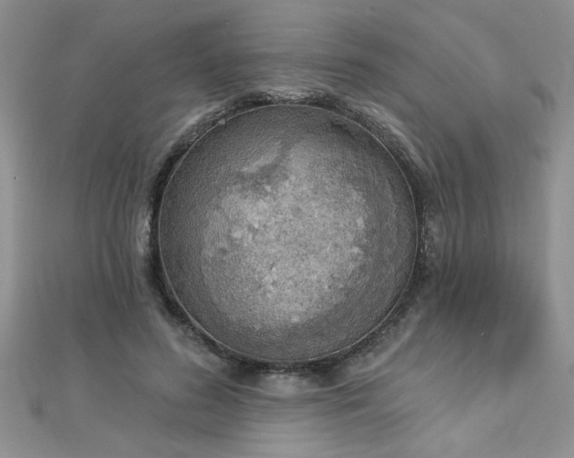 X0000112780596200908201530