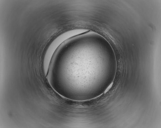 X0000112780597200908201530