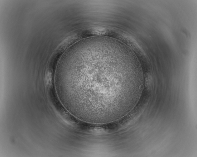 X0000112780598200908201530