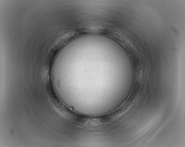 X0000112780599200908201530