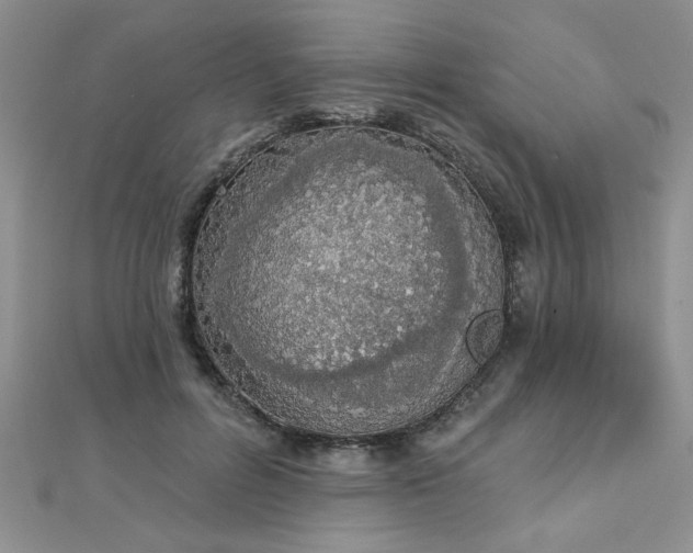 X0000112780600200908201530