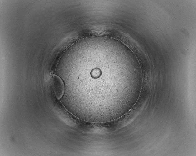 X0000112780601200908201530