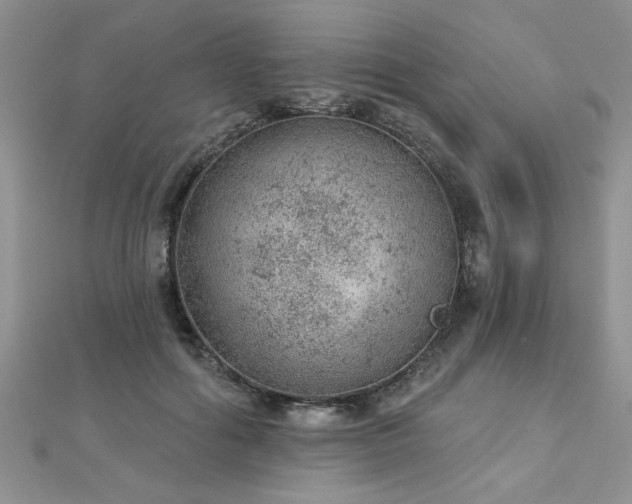 X0000112780602200908201530