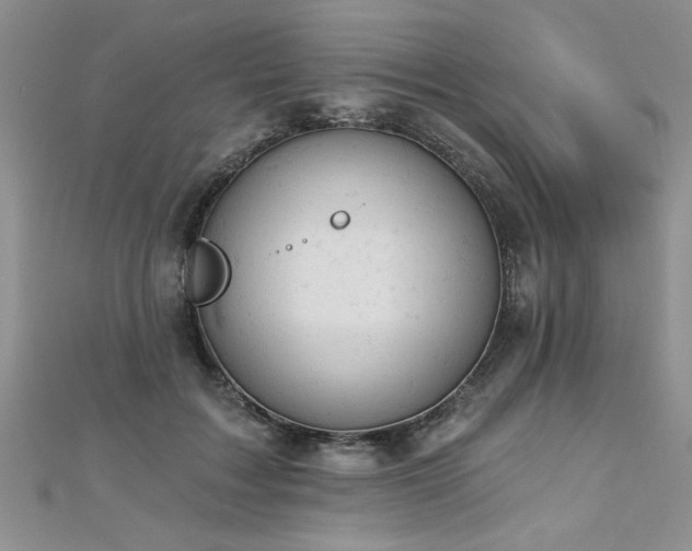 X0000112780603200908201530