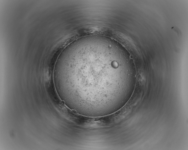 X0000112780607200908201530