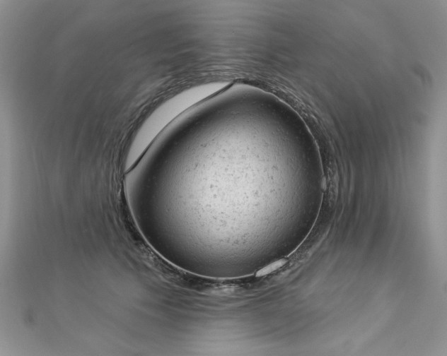 X0000112780609200908201530