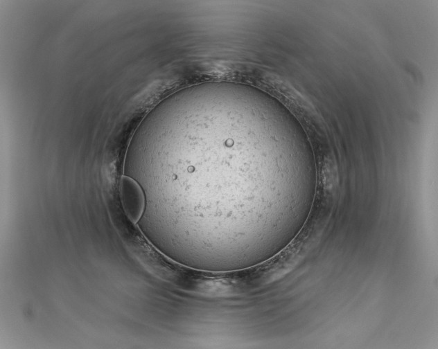 X0000112780611200908201530