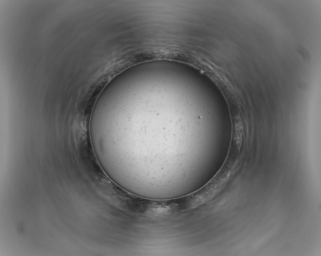 X0000112780613200908201530