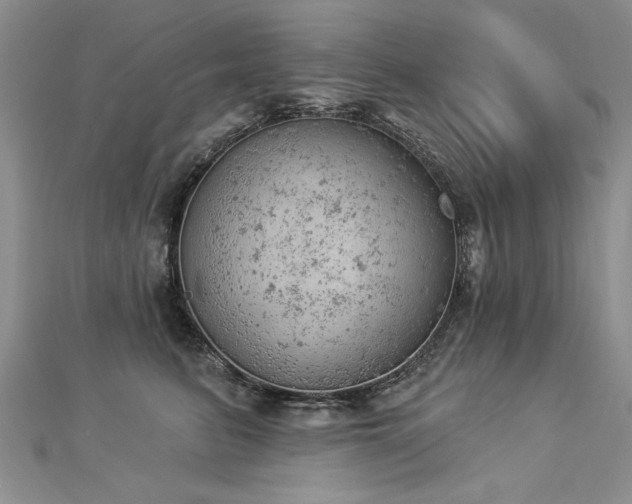 X0000112780615200908201530