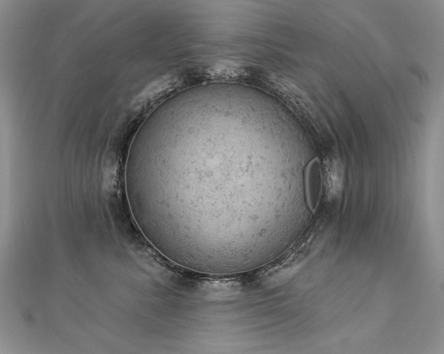 X0000112780619200908201530