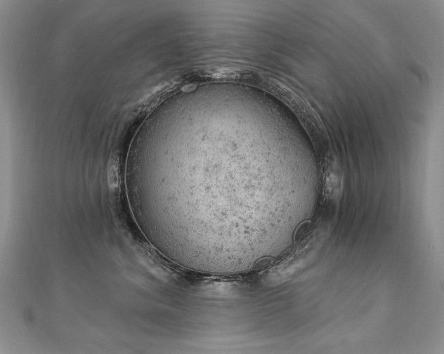 X0000112780620200908201530