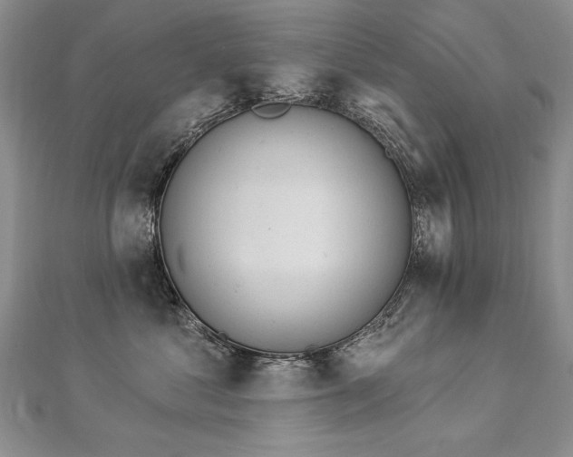 X0000112780621200908201530