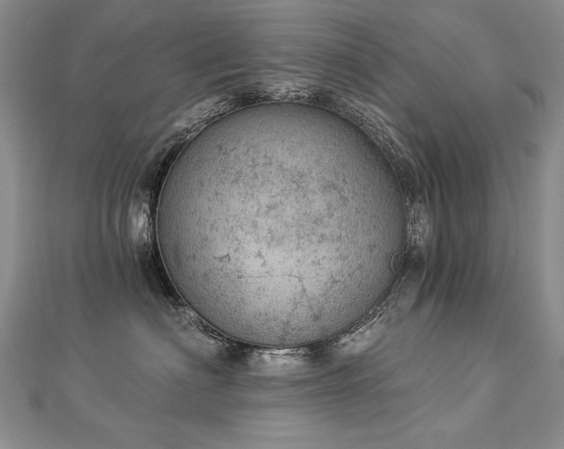 X0000112780622200908201530