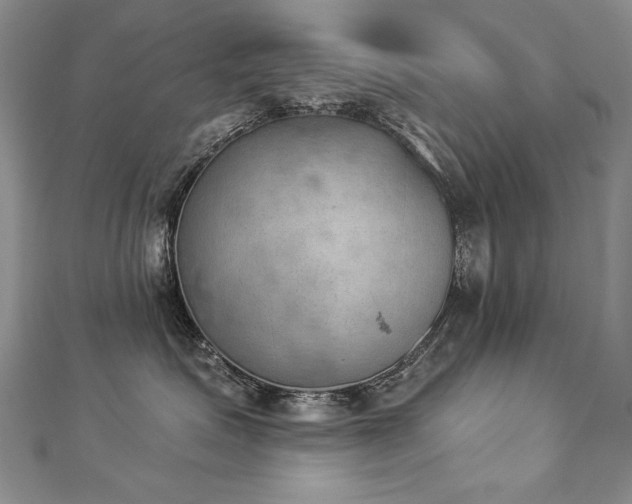 X0000112780623200908201530