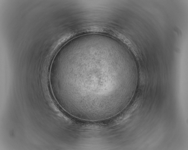 X0000112780625200908201529