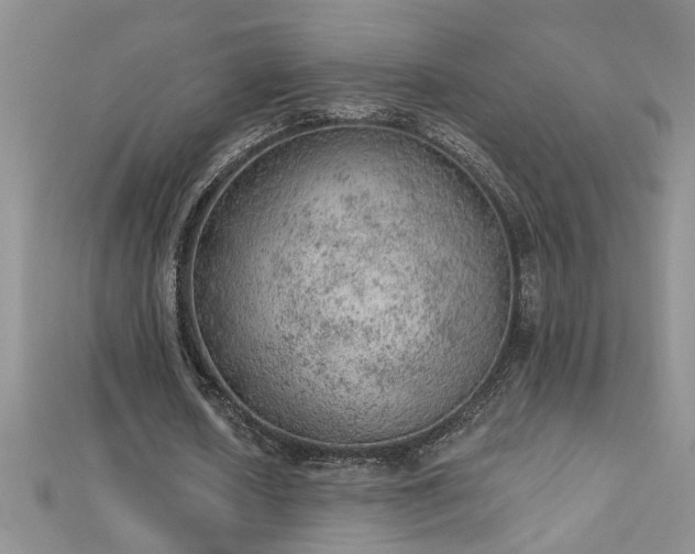 X0000112780626200908201529