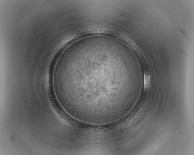 X0000112780627200908201529