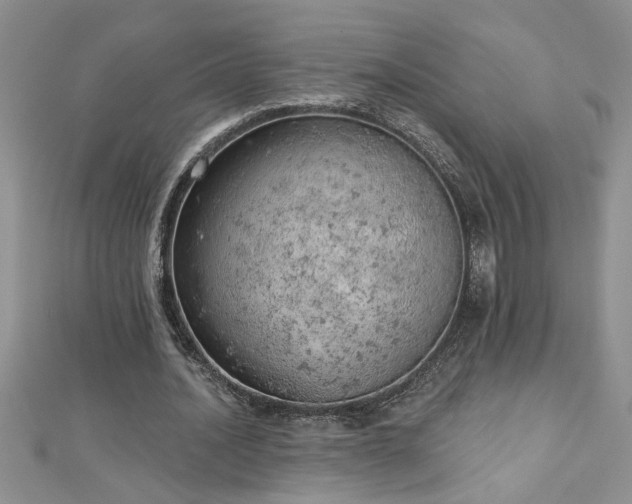 X0000112780628200908201529