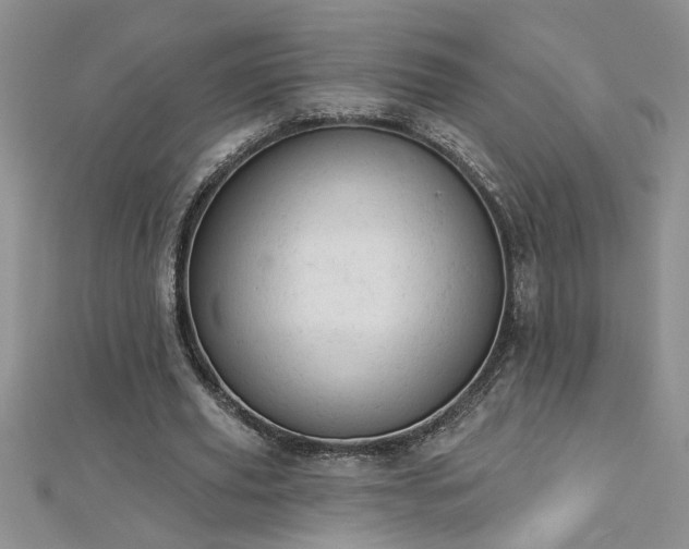 X0000112780629200908201529