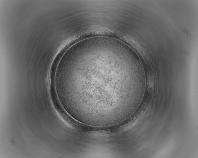 X0000112780630200908201529