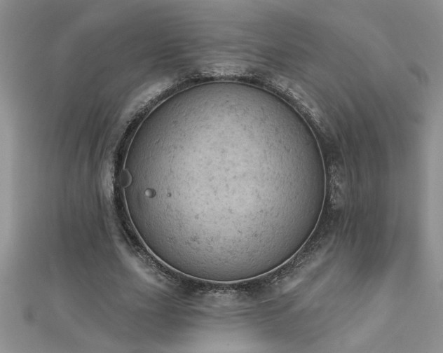 X0000112780631200908201529