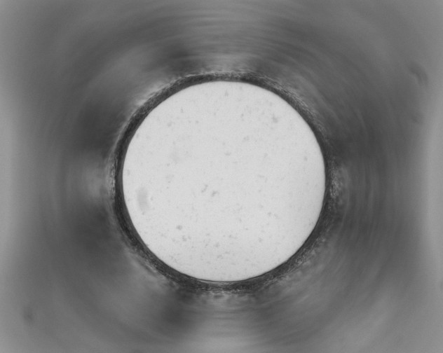 X0000112780632200908201529