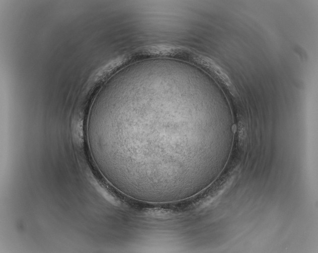 X0000112780633200908201530