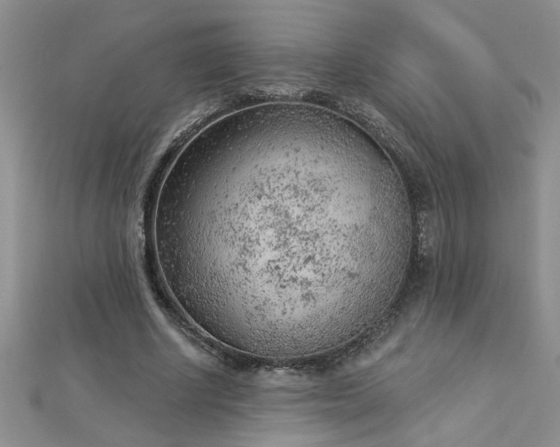 X0000112780634200908201530