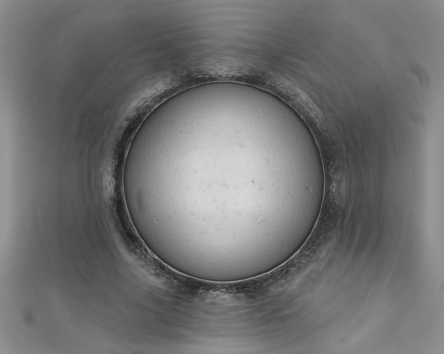 X0000112780635200908201530