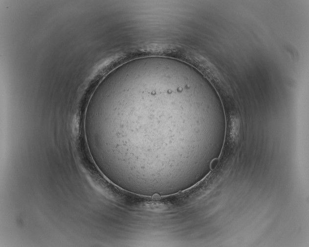 X0000112780636200908201530