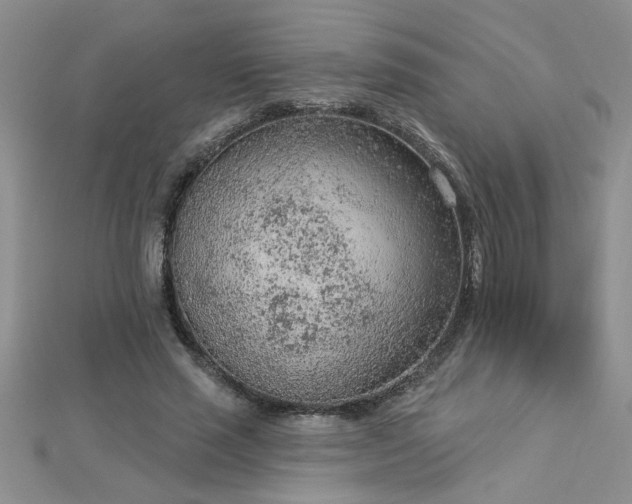 X0000112780637200908201530